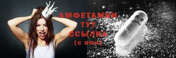 прущие грибы Братск