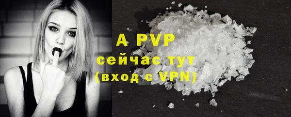 прущие грибы Братск