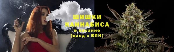 мет Инта