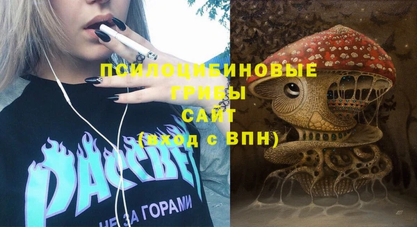 мет Инта