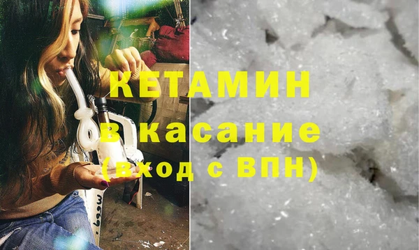 прущие грибы Братск