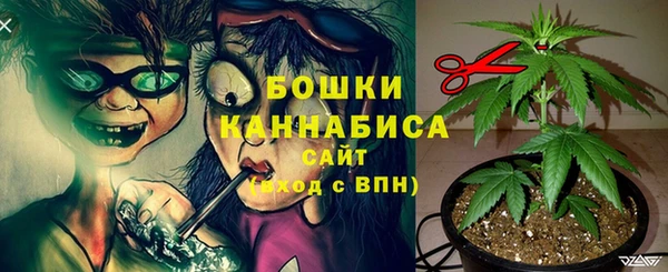 амф Великий Новгород