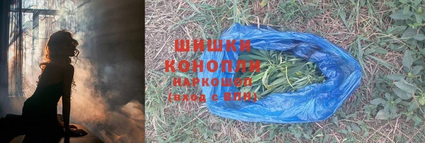 прущие грибы Братск