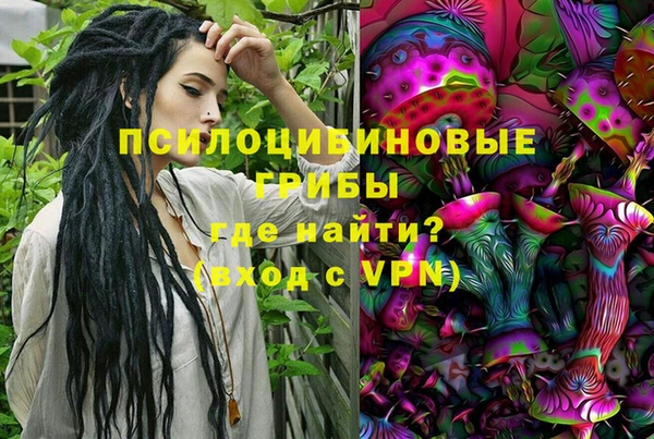 прущие грибы Братск