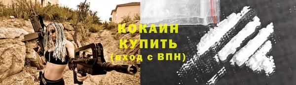 прущие грибы Братск
